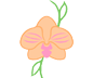 orchid-rune